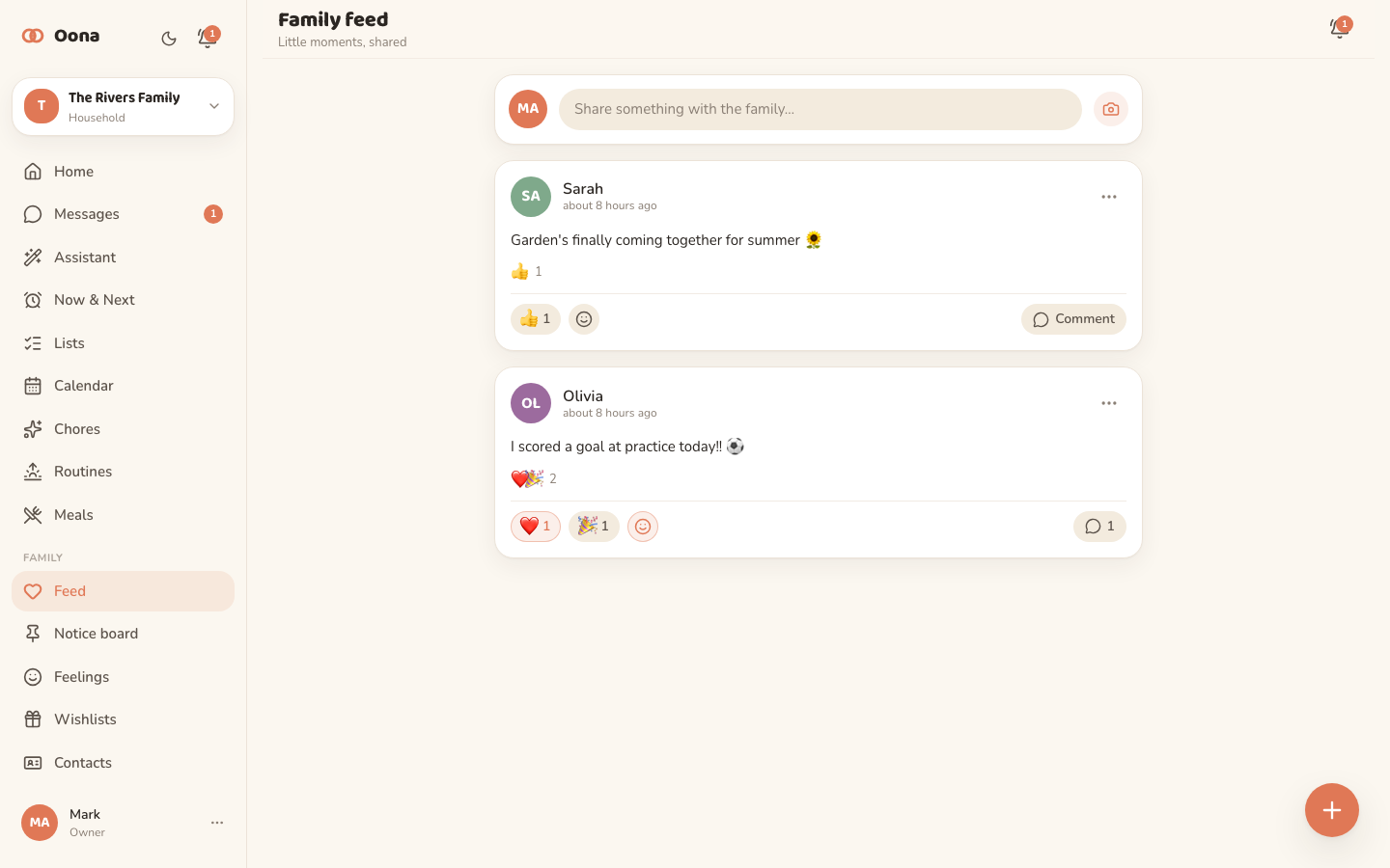 The Oona family feed on desktop, a private stream of family photos, posts and reactions.